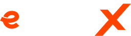 EngineX Logo